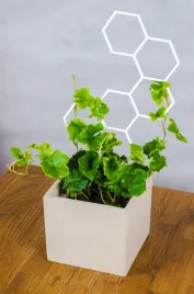 drabinka-podporka-do-kwiatow-hex-ladder-biala