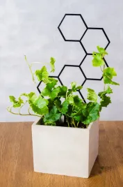drabinka-podporka-do-kwiatow-hex-ladder-czarna