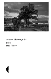 delta-przez-zulawy-tomasz-slomczynski