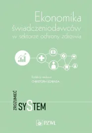 ekonomika-swiadczeniodawcow-w-sektorze-ochrony