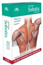 anatomia-sobotta-flashcards-miesnie-wyd-8