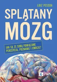 splatany-mozg-jak-sa-ze-soba-powiazane-percepcja