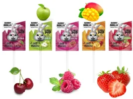 bunny-ninja-lizaki-owocowe-bez-cukru-zestaw-mix-smakow-5-x-6-g