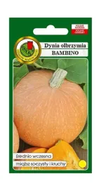dynia-olbrzymia-bambino-100-g-pnos-ozarow