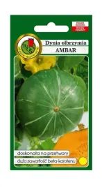 dynia-olbrzymia-ambar-100-g-pnos