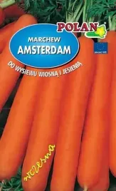 marchew-jadalna-amsterdam-3-100-g-plantico-polan
