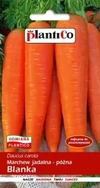 marchew-jadalna-blanka-100-g-plantico-polan