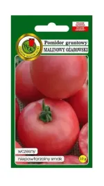 pomidor-gruntowy-malinowy-ozarowski-10-g-pnos-ozarow