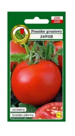 pomidor-gruntowy-jawor-10-g-pnos