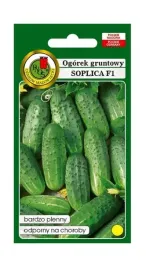 ogorek-gruntowy-soplica-f1-50-g-pnos-ozarow