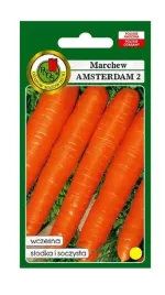 marchew-jadalna-amsterdam-2-50-g-pnos