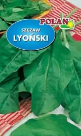 szczaw-lyonski-500-g-plantico-polan