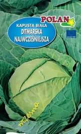 kapusta-glowiasta-biala-ditmarska-najwczesniejsza-100-g-plantico-polan