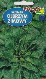 szpinak-olbrzym-zimowy-100-g-plantico-polan