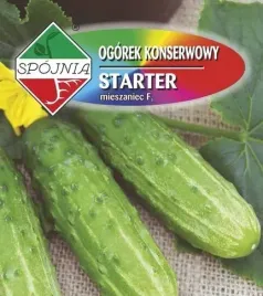 ogorek-gruntowy-starter-f1-50-g-plantico-polan