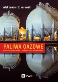 paliwa-gazowe-podstawy-efektywnego