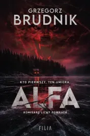 komisarz-rafal-lichy-t-4-alfa-grzegorz-brudnik