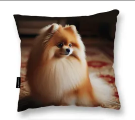 poduszka-z-psem-pomeranian-40x40-idealna-prezent-gomeranianem-pies