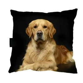 poduszka-z-psem-goldenem-retriver-40x40-prezent