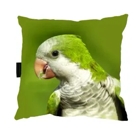 poduszka-z-papuga-papuga-40x40-mnicha-nizinna
