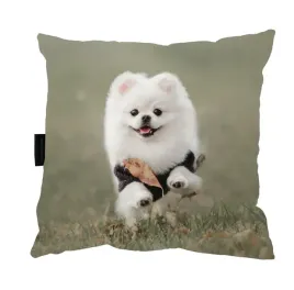 poduszka-z-psem-pomeranian-40x40-idealna-prezent