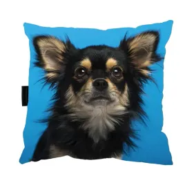 poduszka-z-psem-chihuahua-40x40-do-spania-prezent