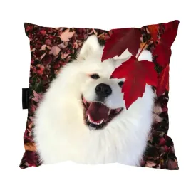 poduszka-z-psem-samoyedem-samoyed-samojed-prezent