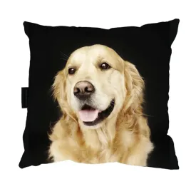 poduszka-z-psem-goldenem-retriver-40x40-prezent