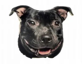 poduszka-3d-poducha-psem-amstaff-amstaffem-prezent