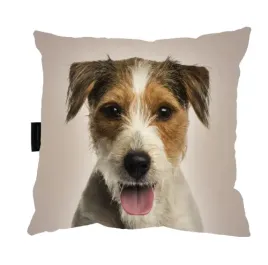 poduszka-psem-jack-russel-40x40-prezent-do-spania