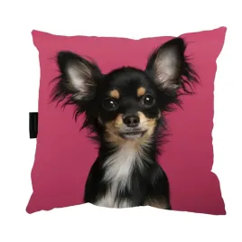 poduszka-z-psem-chihuahua-40x40-do-spania-prezent