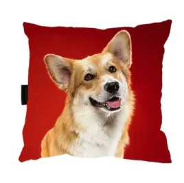 poduszka-z-psem-corgim-40x40-do-spania-prezent