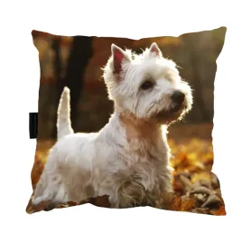 poduszka-z-psem-westie-westiem-40x40-na-prezent