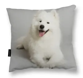 poduszka-z-psem-samoyedem-samoyed-samojed-prezent-szara-40x40-miekka-duza