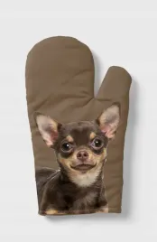 rekawica-psem-chihuahua-krotkowlosa-brazowa-kuchenna-urodziny-lapa-ochronna