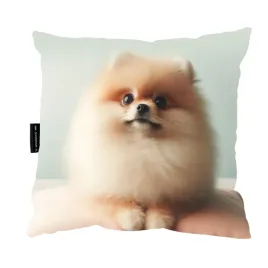 poduszka-z-psem-pomeranian-40x40-idealna-prezent-do-spania-dekoracyjna