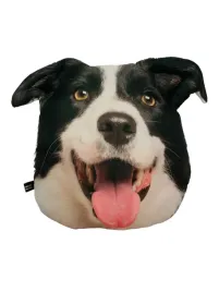 poduszka-3d-poducha-z-psem-border-collie-prezent