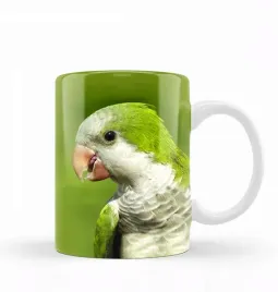 kubek-z-papuga-papuga-prezent-na-urodziny-330-ml-mnicha-nizinna-porcelit