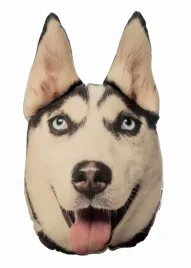 poduszka-3d-poducha-z-psem-husky-huskim-na-prezent