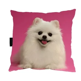 poduszka-z-psem-pomeranian-40x40-idealna-prezent