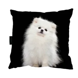 poduszka-z-psem-pomeranian-40x40-do-spania-prezent