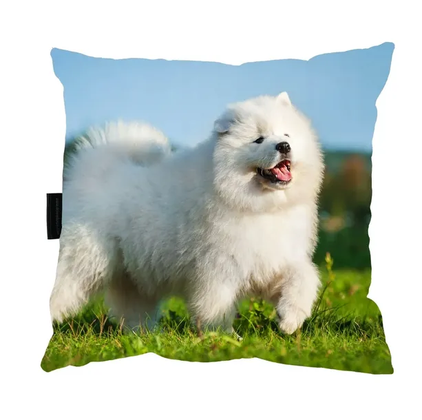 poduszka-z-psem-samoyedem-samoyed-idealna-prezent