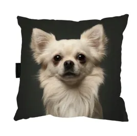 poduszka-z-psem-chihuahua-40x40-do-spania-prezent