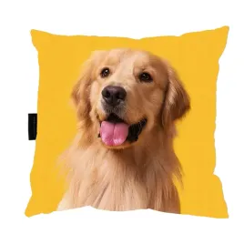 poduszka-z-psem-goldenem-retriver-40x40-prezent