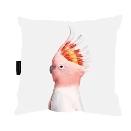 poduszka-z-papuga-papuga-40x40-idealna-na-prezent