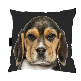poduszka-psem-beagle-bigiel-do-spania-na-prezent