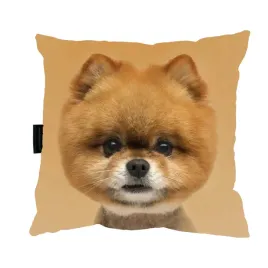 poduszka-z-psem-pomeranian-pies-idealny-prezent