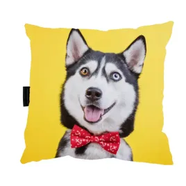 poduszka-z-psem-husky-na-prezent-upominek-pies