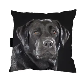 poduszka-z-psem-labradorem-czarnym-40x40-prezent