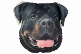 poduszka-3d-poducha-psem-rottweiler-na-prezent